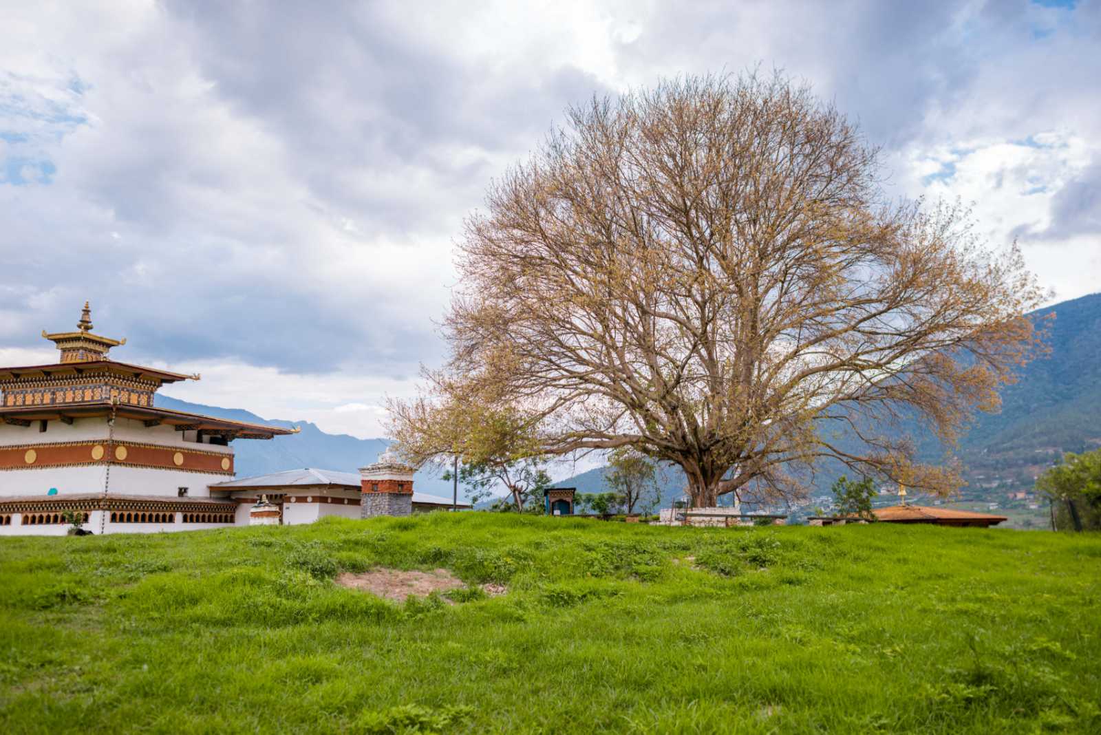 Chimi Lhakhang Architecture